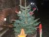 Foto vom Album: Weihnachtsmarkt am Hofgarten