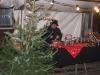 Foto vom Album: Niederländischer Weihnachtsmarkt