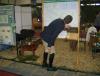 Foto vom Album: HIPPOLOGICA 2007