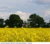 Foto vom Album: Monatssieger Fotowettbewerb Großräschen 2011