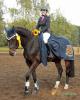 Nina Tornow mit Ladatia K erhält eine Pferdedecke von Ruppiner Pferdefutter für den 1. Platz