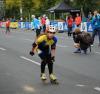 Foto vom Album: 44. BMW Berlin-Marathon