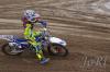 Foto vom Album: LM Ladies