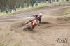 Foto vom Album: LM MX1