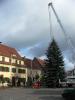 Foto vom Album: Aufstellung Weihnachtsbaum in Uebigau