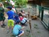 Foto vom Album: Wandertag der Klassen 1a & 1b in den Eilenburger Tierpark