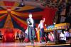 Foto vom Album: Show, Klamauk &amp; Sensationen