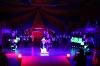 Foto vom Album: Show, Klamauk &amp; Sensationen