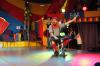 Foto vom Album: Show, Klamauk &amp; Sensationen
