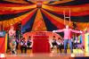 Foto vom Album: Show, Klamauk &amp; Sensationen