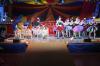 Foto vom Album: Show, Klamauk &amp; Sensationen