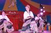 Foto vom Album: Show, Klamauk &amp; Sensationen
