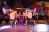 Foto vom Album: Show, Klamauk &amp; Sensationen