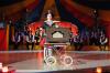 Foto vom Album: Show, Klamauk &amp; Sensationen