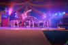 Foto vom Album: Show, Klamauk &amp; Sensationen