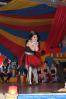 Foto vom Album: Show, Klamauk &amp; Sensationen