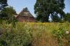 Foto vom Album: Gartenreise der Rosenfreunde 2018: Arboretum Ellerhoop-Tiensen