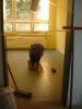Foto vom Album: Renovierung und Umgestaltung der Schule im Sommer 2007 - Serie 2