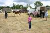 Foto vom Album: Stadt- und Vereinsfest Neustadt (Dosse) 2008
