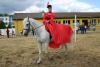 Foto vom Album: Stadt- und Vereinsfest Neustadt (Dosse) 2008