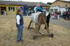 Foto vom Album: Stadt- und Vereinsfest Neustadt (Dosse) 2008