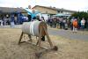 Foto vom Album: Stadt- und Vereinsfest Neustadt (Dosse) 2008