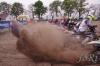 Foto vom Album: LM Clubsport - MC Dreetz