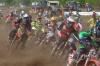 Foto vom Album: LM MX1 - MC Dreetz