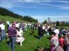 Foto vom Album: Dritter Aktionstag der schwäbischen Ziegenzüchter zum 90. jährigen