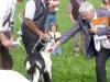 SZZV Präsident, Andreas Michel, erläuterte die Schweizer Ziegenrasse Pfauenziege und sagte zu diesem exzellenten Tier : Sie hat nur einen Fehler … sie steht in Bayern und nicht in der Schweiz!!! (40 of 43)