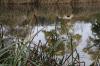 Foto vom Album: Schlosspark im Herbst