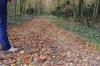 Foto vom Album: Schlosspark im Herbst