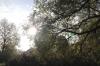Foto vom Album: Schlosspark im Herbst