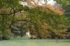 Foto vom Album: Schlosspark im Herbst