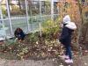 Foto vom Album: Garten-Aktion in unseren Schulgärten