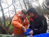 Foto vom Album: Abfischen 2019