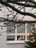 Foto vom Album: Weihnachtsmarkt in der Schule