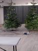 Foto vom Album: Weihnachtsbaum-Kugel-Schießen 2019