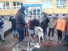 Foto vom Album: Huskys zu Besuch bei der 4. Klasse