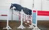 Foto vom Album: Freispringwettbewerb der Ponys in Wulkow