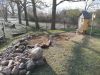 Eidechsenburg und Insektenhotel