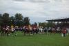 Hengstparade
