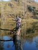 (c)Kampe Auf Baumstämme klettern am Teich Oskar und Mattis