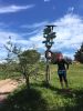 Foto vom Album: Rennsteiglauf at home