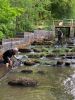 Foto vom Album: Reinigung der Fischtreppe