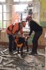 Foto vom Album: gemeinsame Übung mit der Rettungshundestaffel
