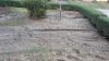 Fotoalbum Unwetter in Weisbach