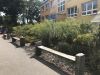 Foto vom Album: In unserem Schulgarten wächst und blüht es.