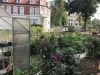 Foto vom Album: In unserem Schulgarten wächst und blüht es.