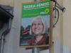 Foto vom Album: Kommunalwahl 2008: Wahlplakate der Partei Bündnis 90 Die Grünen